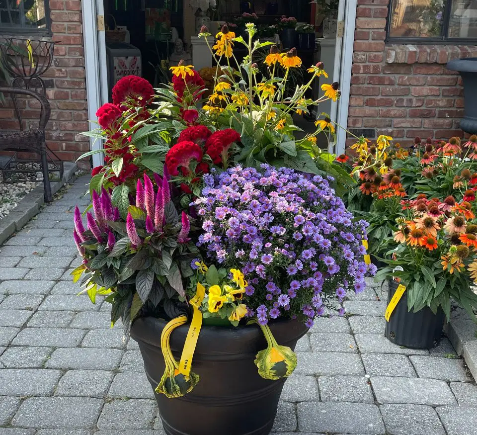 A large flower pot with many different flowers.