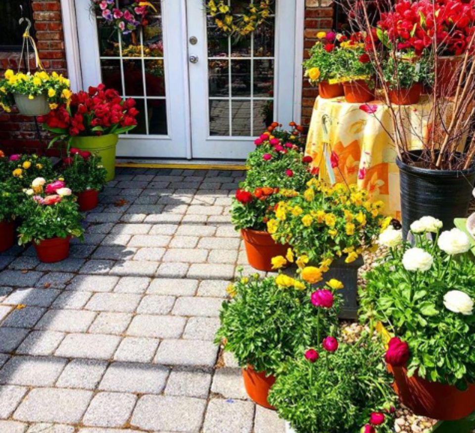 A patio with many potted plants and flowers.