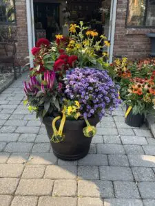 Amodio's Garden Center and Creative Flowers